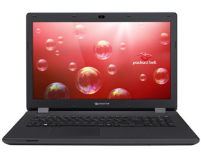 Чистка ноутбука Packard Bell